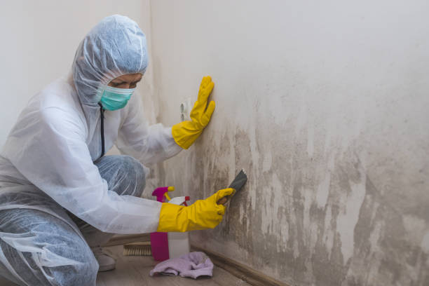 Best Mold Remediation for Healthcare Facilities  in Columbiana, AL
