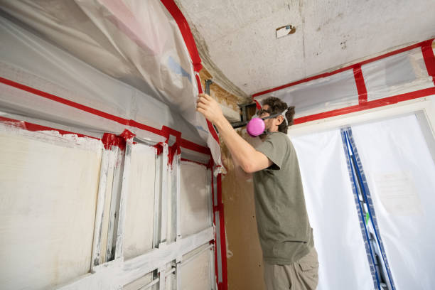 Best Environmental Consulting for Mold Prevention  in Columbiana, AL