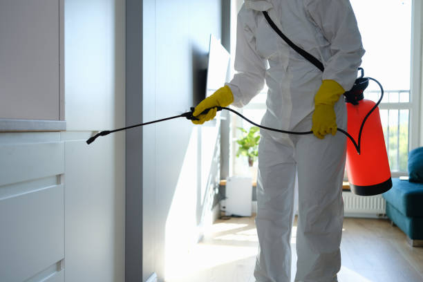 Mold Remediation for Rental Properties in Columbiana, AL