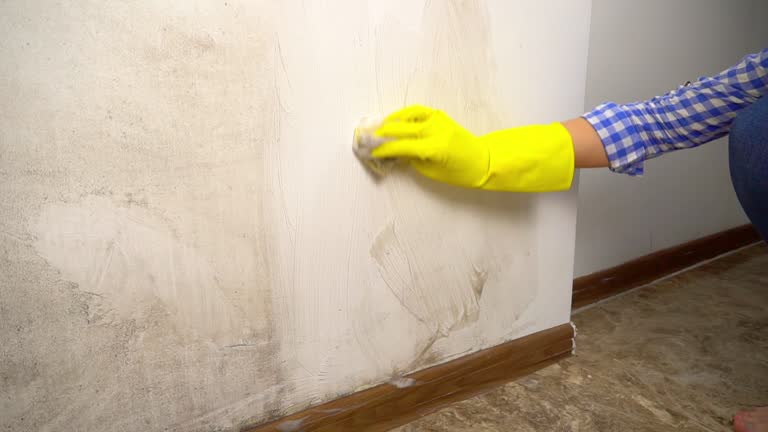 Best Mold-Related Health Consultation  in Columbiana, AL