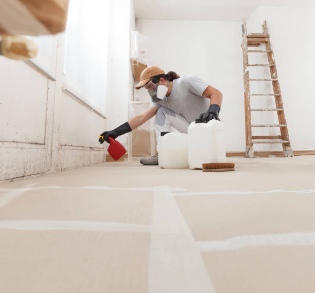 Best Mold Removal for HVAC Installations  in Columbiana, AL