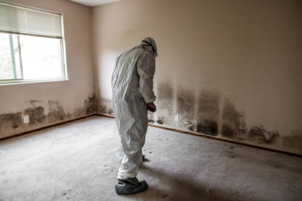 Best Emergency Mold Remediation  in Columbiana, AL