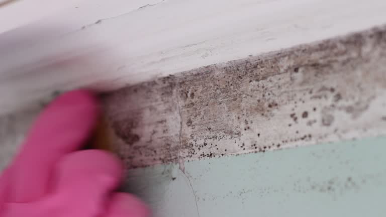 Best Real Estate Mold Inspection  in Columbiana, AL